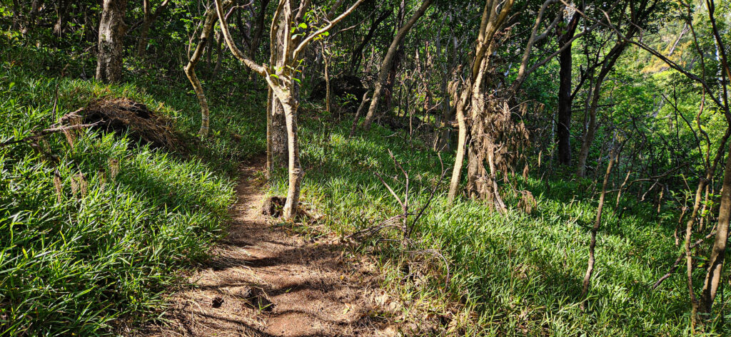 20251029_Reco_SaintJo13