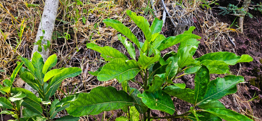 20251029_Reco_SaintJo14