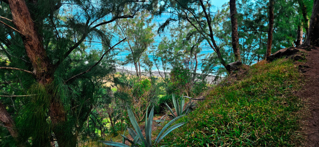 20251029_Reco_SaintJo15