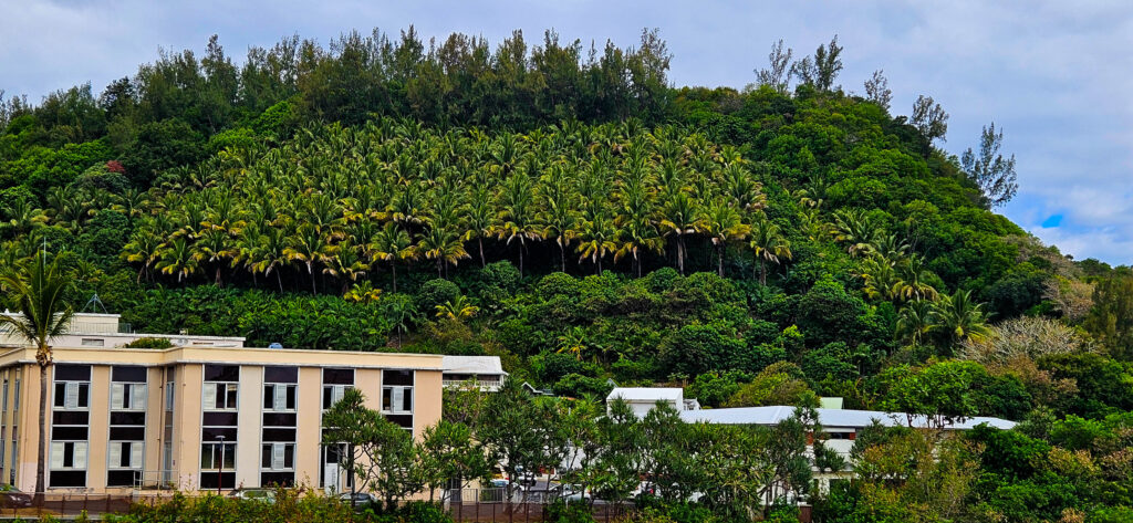 20251029_Reco_SaintJo25