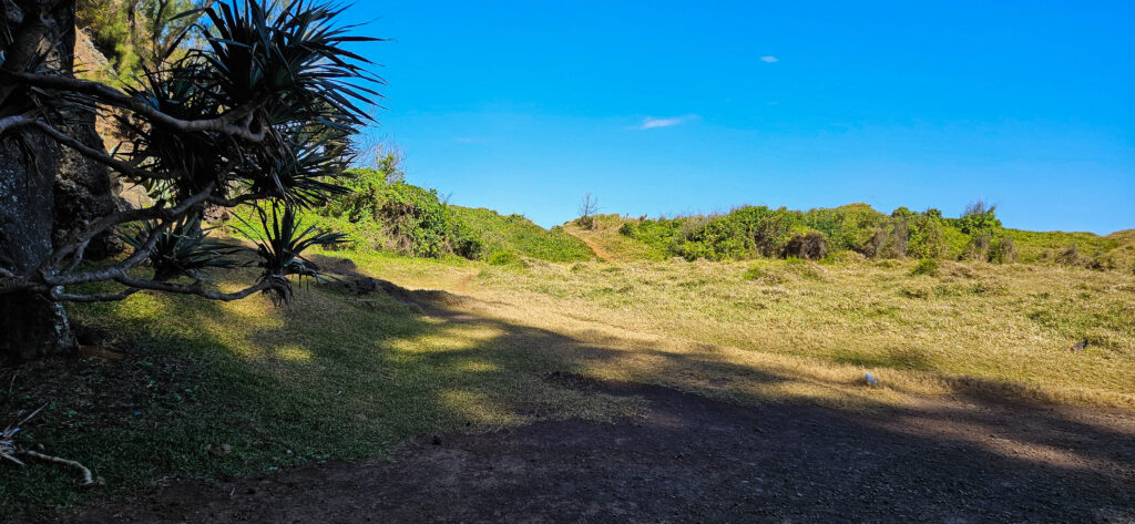 20251029_Reco_SaintJo4