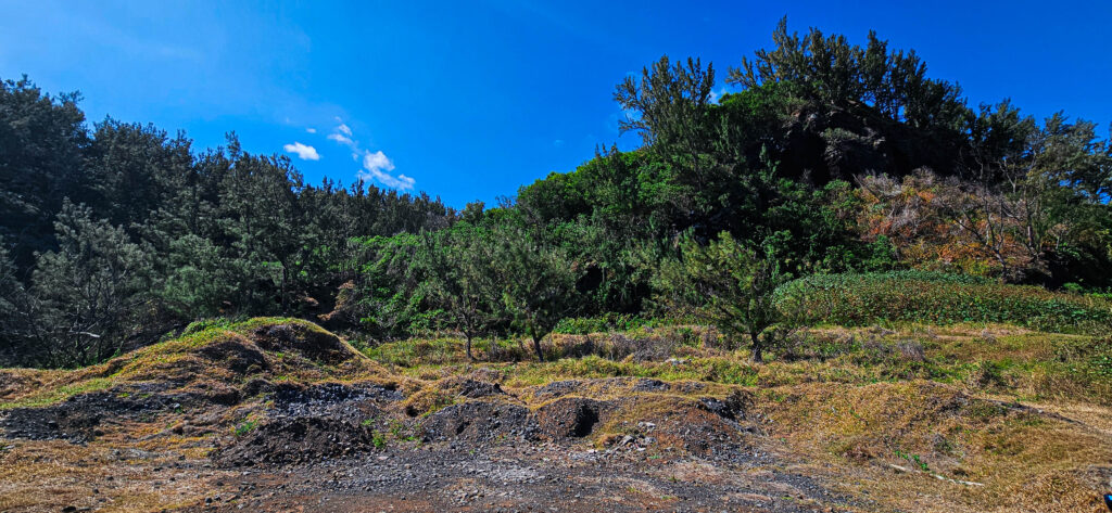 20251029_Reco_SaintJo5