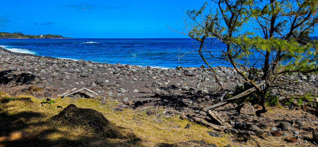 20251029_Reco_SaintJo6