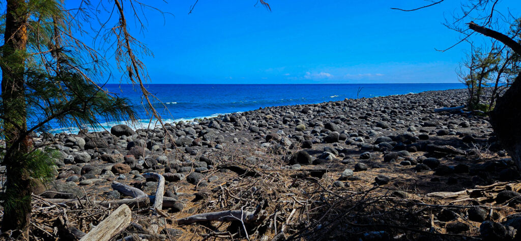 20251029_Reco_SaintJo7