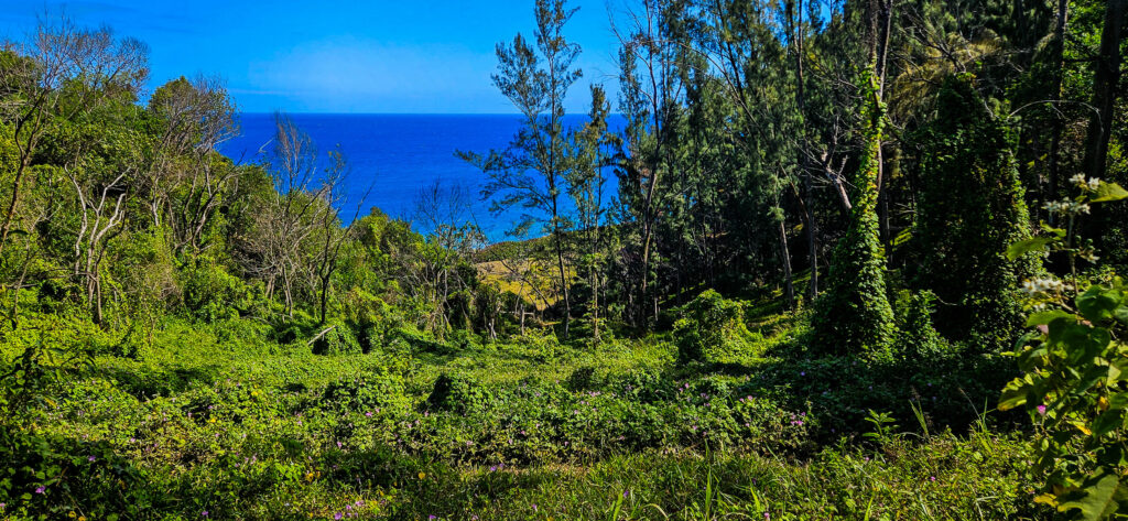 20251029_Reco_SaintJo8