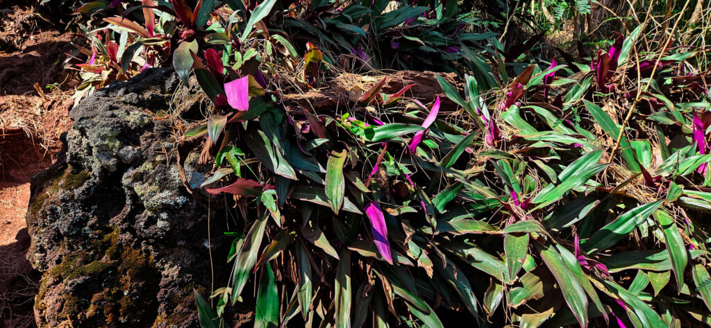 20251029_Reco_SaintJo9